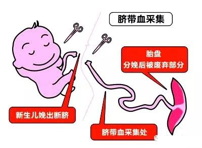 微信图片_20201215155642.png